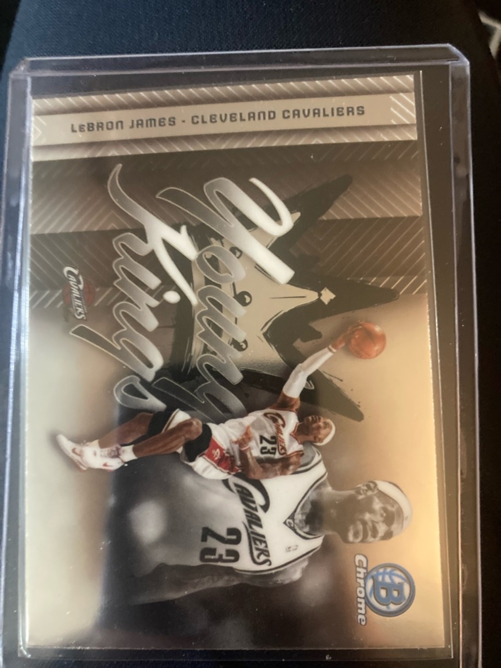 LeBron James Cleveland Cavaliers Silver Basketball Trading Card